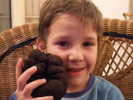 La Truffière du Terrail en Périgord Noir. Vente de truffe noire du Périgord (tuber Melanosporum). Vente de truffes noires fraîches situé en Dordogne Périgord 